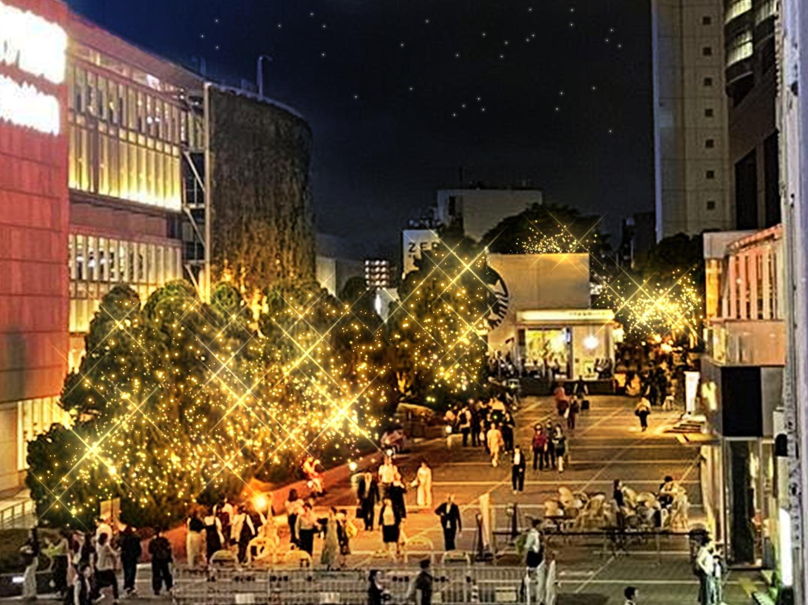 Shinjuku Minami-llumi 2025–2026