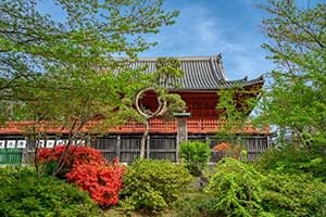 simpleList_KiyomizuKannon-do-634a0fa95e7a70b75901be5c43d0753d9a221043c19ec31dca00480ff4e84fd0 (3).jpg