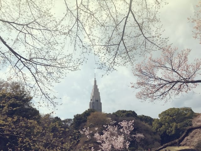 Yoyogi Park