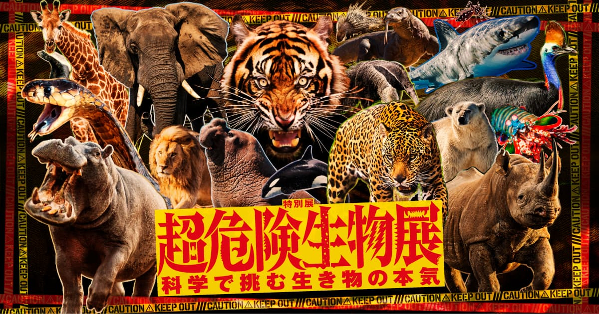 National Museum of Nature and Science Special Exhibition "Extremely Dangerous Creatures: Science Tackles the True Nature of Animals"
