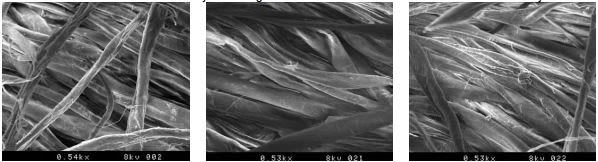 SEM of jeans waistband washed with detergent and fabric softener with Coltide HSi after 20 wash cycles