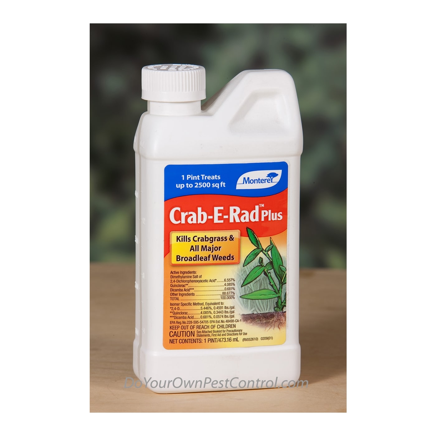 Monterey Crab-E Rad Plus