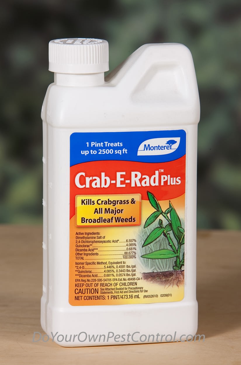Monterey Crab-E Rad Plus