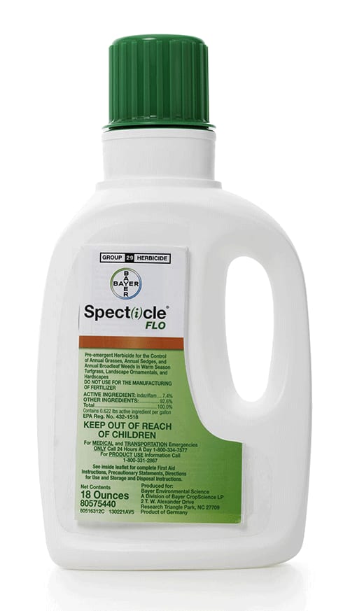 Specticle FLO