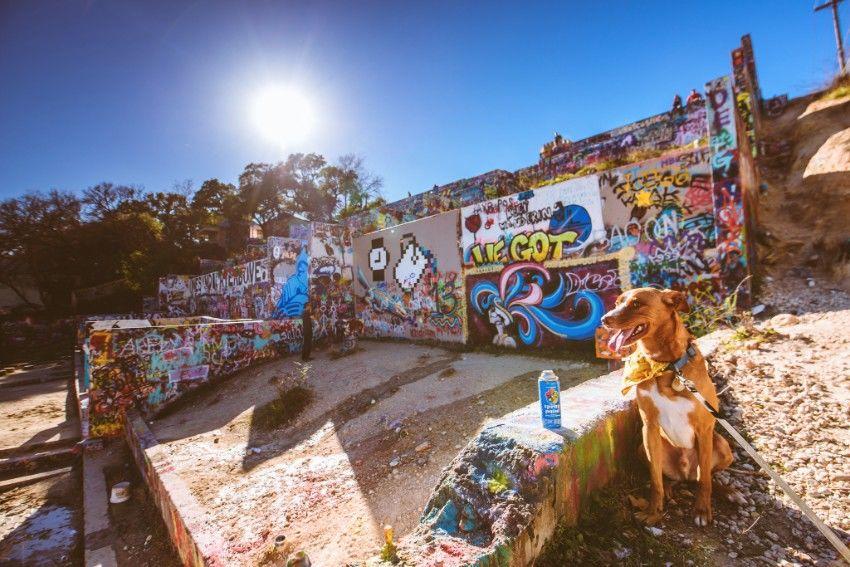 Brisket Does Austin!