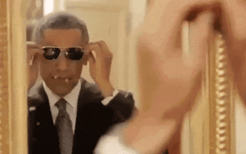 Outdoor Concert Essentials