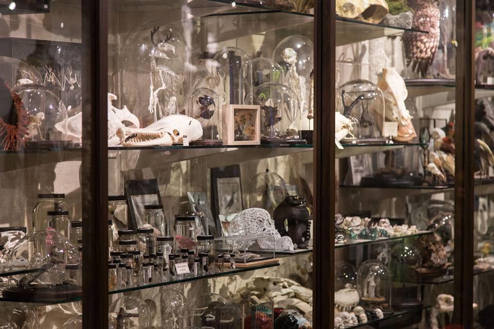 Quirky Holiday Gifts from Unique NYC Shops