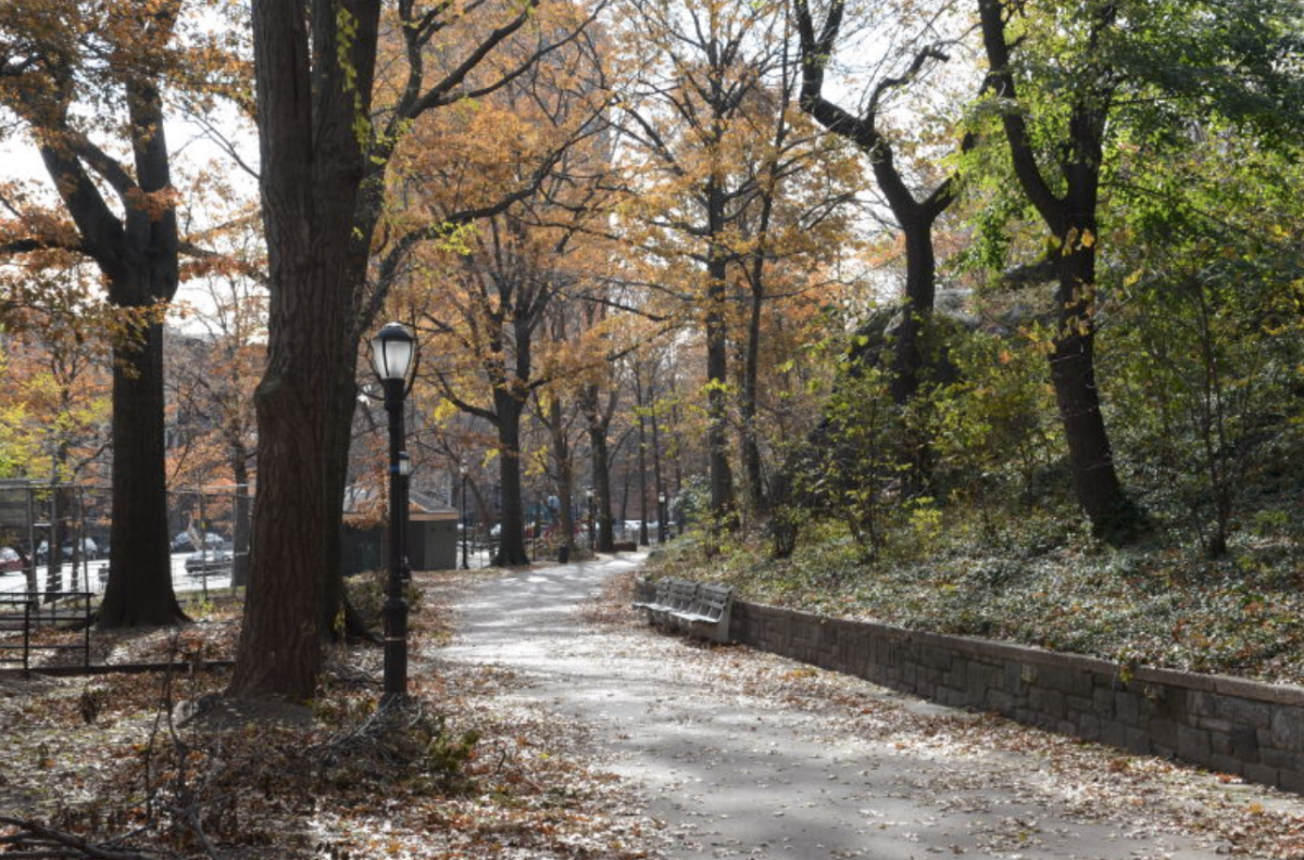 New York's Best Dog Parks