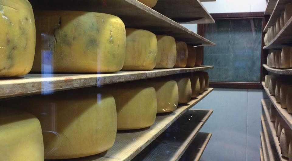 Where To Get Cheesy In Indianapolis