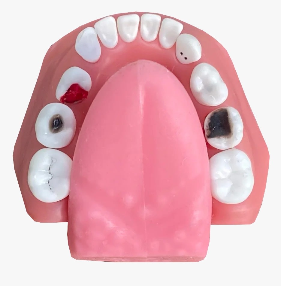 MANEQUIM DE ODONTOPEDIATRIA COM FREIO (cod.604)