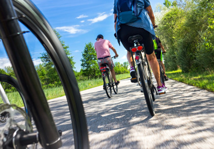 Eine Gruppe von Menschen fährt bei sonnigem Wetter auf einem Radweg durch eine grüne Landschaft. Der Fokus liegt auf den Hinterrädern der Fahrräder, während die Radfahrer in die Ferne fahren. Bäume und Sträucher säumen den Weg.