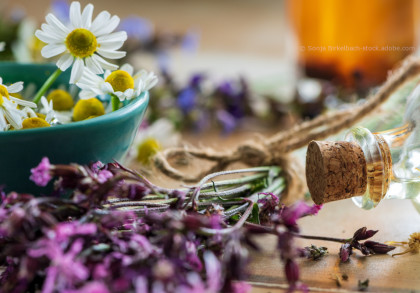 Ein grüner Keramikschüssel, die mit weißen Gänseblümchen gefüllt ist. Drum herum liegen violette und grüne Kräuter sowie eine Korkflasche mit einer klaren Flüssigkeit. Im Hintergrund sind unscharfe Blumen und ein braunes Glasgefäß zu sehen.