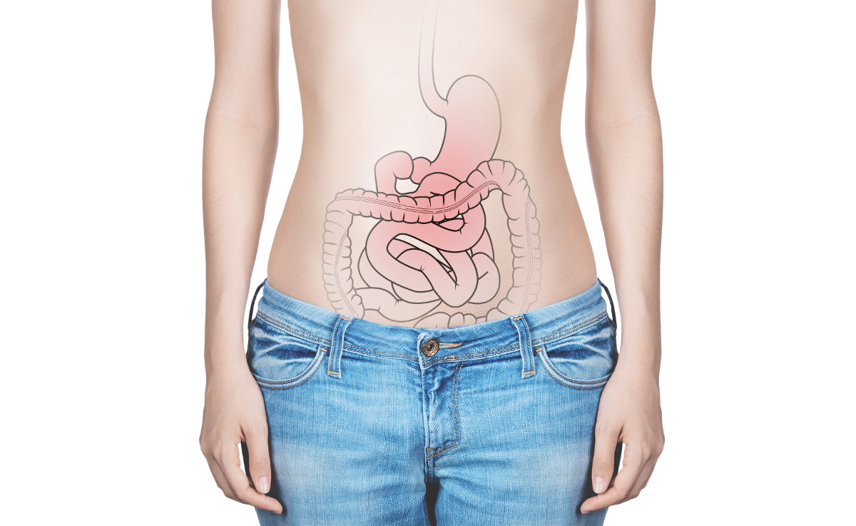 Der lange Darm macht sich in unserem Bauch ganz klein. - © ALDECAstudio - stock.adobe.com