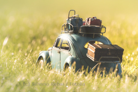Ein Modellauto eines klassischen VW Käfers steht auf einer Wiese im Sonnenlicht. Auf dem Dach befinden sich mehrere Gepäckstücke, und auf der hinteren Stoßstange ist ein weiterer großer Koffer befestigt.
