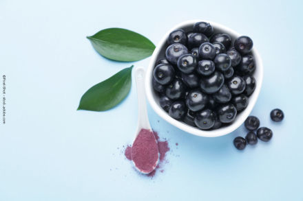 Eine weiße Schüssel gefüllt mit Acai-Beeren, daneben ein weißer Löffel mit Acai-Pulver auf einem hellblauen Hintergrund. Zwei grüne Blätter liegen neben der Schüssel.