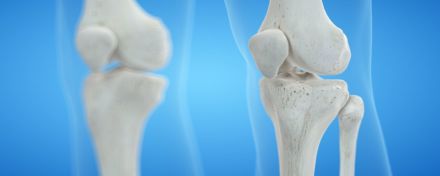 3d Illustration der Knie Knochen