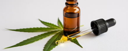 Braune CBD-Ölflasche mit Pipette und goldfarbenem Öl auf grünen Hanfblättern vor hellem Hintergrund.
