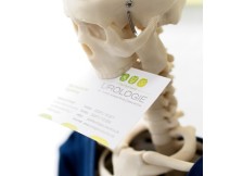Urologie dr katerina cascetta visitenkartemmmf0u