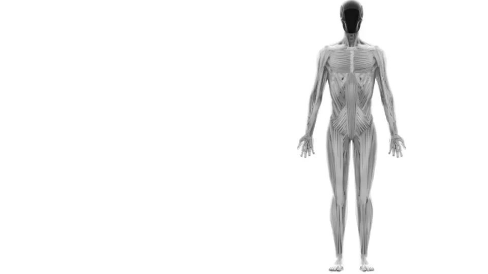 ProtoClone: A Leap Forward in Humanoid Robotics