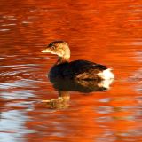 Stratford, Ontario - October