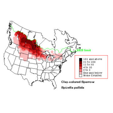 Clay-colored Sparrow distribution map