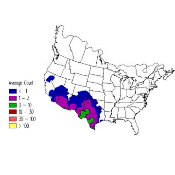 Ladder-backed Woodpecker winter distribution map