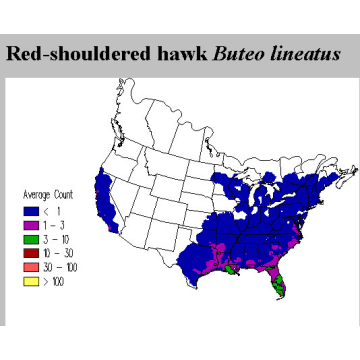 Red-shouldered Hawk distribution map