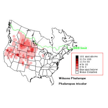 Wilson's Phalarope distribution map