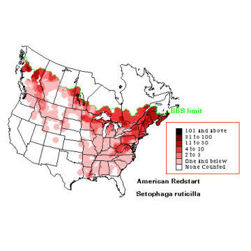 American Redstart distribution map
