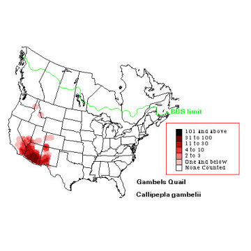 Gambel's Quail distribution map