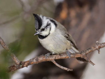 Photo taken in Black Bear Spring, Arizona