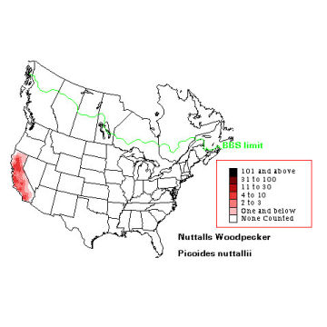 Nuttall's Woodpecker distribution map