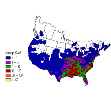 Swamp Sparrow winter distribution map