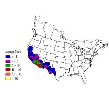 Phainopepla winter distribution map