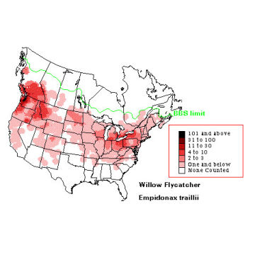 Willow Flycatcher distribution map