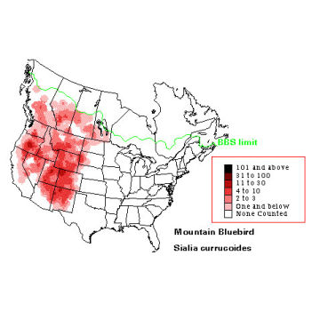 Mountain Bluebird distribution map