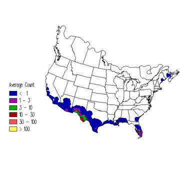 White-winged Dove winter distribution map