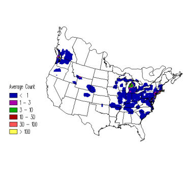 Mute Swan winter distribution map