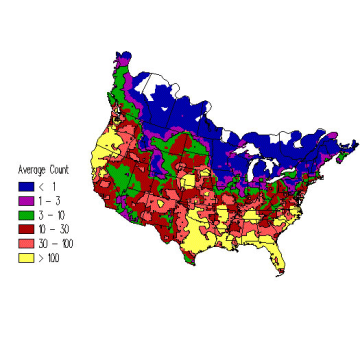 American Robin winter distribution map