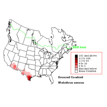 Bronzed Cowbird distribution map