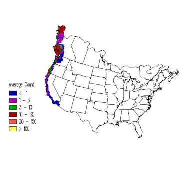 Black Turnstone winter distribution map