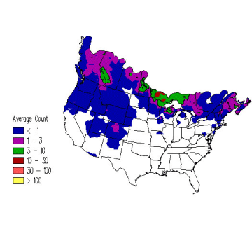 Gray Jay winter distribution map