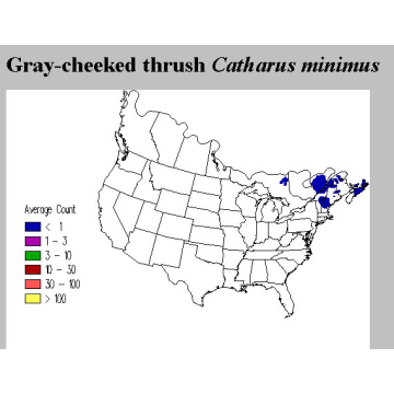 Gray-cheeked Thrush distribution map
