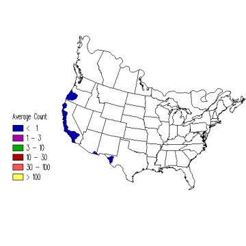 Hermit Warbler winter distribution map