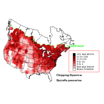 Chipping Sparrow distribution map