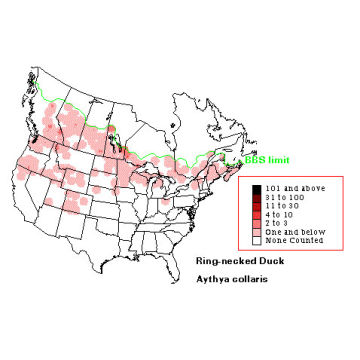 Ring-necked Duck distribution map