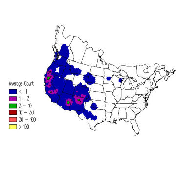 Lewis' Woodpecker winter distribution map