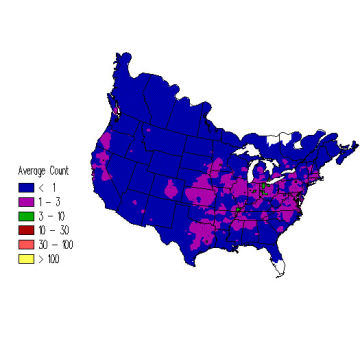 Brown Creeper winter distribution map