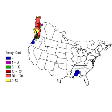 Northwestern Crow winter distribution map