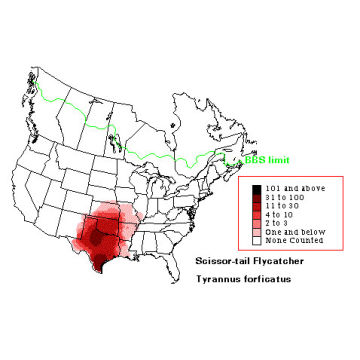 Scissor-tailed Flycatcher distribution map